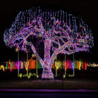 JMEXSUSS 600 LED Color Changing String Lights Plug in, 168FT Warm White & Multicolor Christmas Lights with Remote, Christmas String Lights Outdoor Waterproof Clear Wire for Tree Xmas Decor