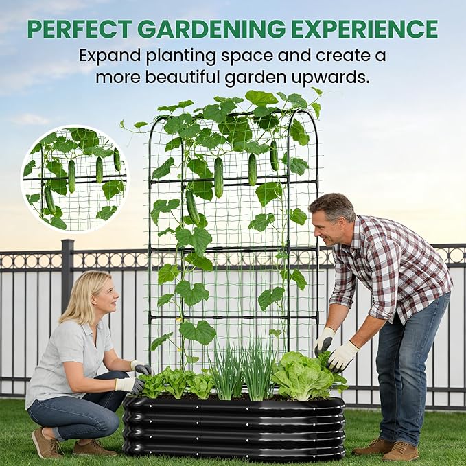 SUNYRISY Galvanized Raised Garden Bed with 71in Arch Trellis for Climbing Plants, Outdoor Planter Box with Climbing Net for Gardening Flowers Vegetables Fruits Herbs, Black