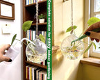 3 Pack Hanging Propagation Stations with Care Tool Kit (Squeeze Bottle & Tweezers Included), Glass Wall Planters for Indoor Plants, Hydroponic Terrarium Vases, Plant Lover Gifts for Women, Home Decor