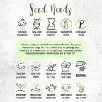Seed Needs Valerian Seeds for Planting Stink Root Plants - Non-GMO Heirloom & Untreated Perennial Medicinal Herb Seed to Plant a Home Grown Outdoor Garden (2 Packs)