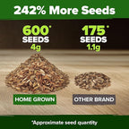 HOME GROWN Coral Zinnia Seeds (1g) – 600 Zinnia elegans Annual Flower Seeds for Planting Outdoors – Heat Tolerant Easy Summer Flowers to Plant – Herb Seed Companion for Pollinator Garden Beds for 2026