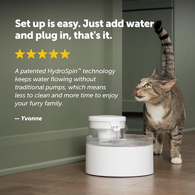 PetSafe Outlast Pumpless Cat Water Fountain 60 oz/1.7L Indoor Water Dispenser for Cats, Dishwasher Safe, Easy Assembly and Cleaning, Water Filter Included