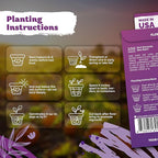 KVITER 100 Red Bee Balm Seeds Perennial (Monarda Didyma) – Wild Bergamot, Pollinator Magnet, Heirloom & Non GMO – Perennial Flower Seeds to Plant Outside, Perfect for Butterfly Gardens & Borders
