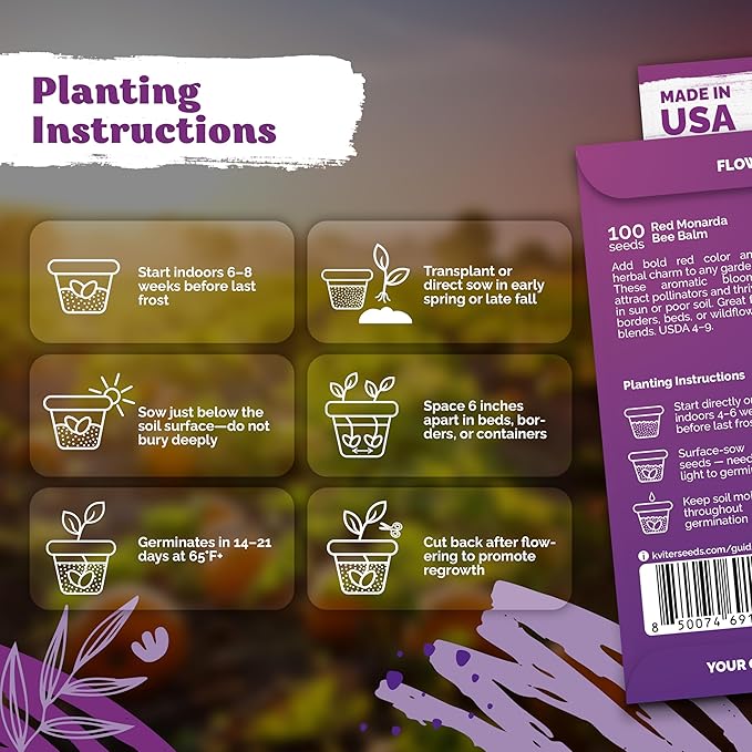 KVITER 100 Red Bee Balm Seeds Perennial (Monarda Didyma) – Wild Bergamot, Pollinator Magnet, Heirloom & Non GMO – Perennial Flower Seeds to Plant Outside, Perfect for Butterfly Gardens & Borders