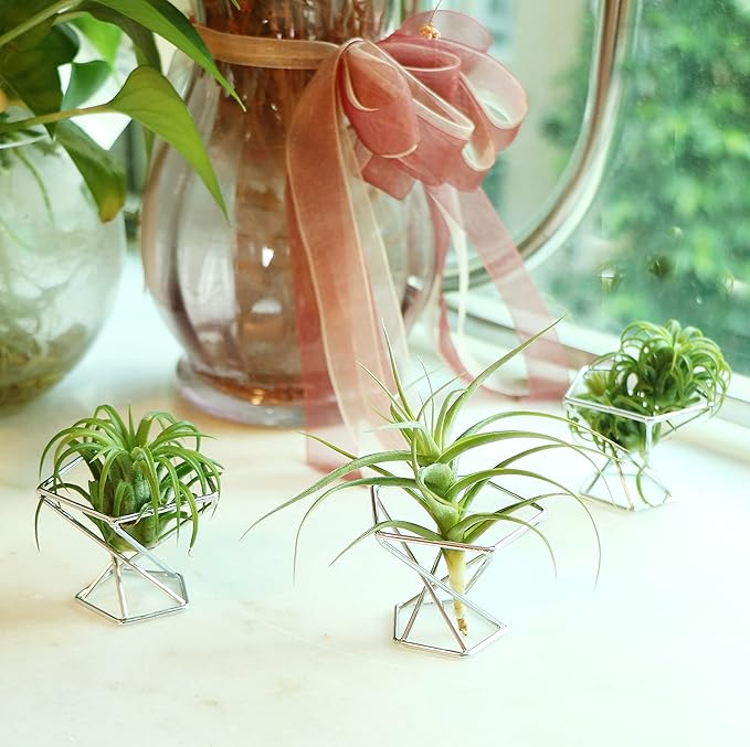 Geometric Air Plant Holder Airplants Rack Metal Plants Stand Planter Shelves Himmeli Living Decor Tillandsia Pot Containers (Silver 3pcs)