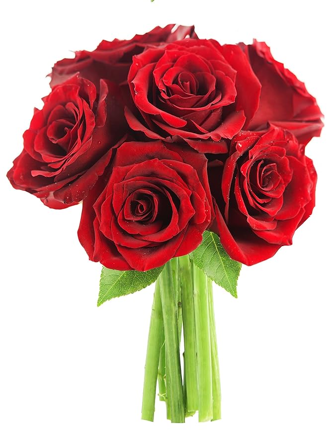 KaBloom PRIME NEXT DAY DELIVERY - Fall Collection - The Romantic Classic Red Rose Bouquet of 6 Fresh Cut Red Roses (Farm-Fresh, Long-Stem). Gift for Birthday,Valentine, Mother’s Day Fresh Flowers