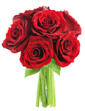 KaBloom PRIME NEXT DAY DELIVERY - Fall Collection - The Romantic Classic Red Rose Bouquet of 6 Fresh Cut Red Roses (Farm-Fresh, Long-Stem). Gift for Birthday,Valentine, Mother’s Day Fresh Flowers