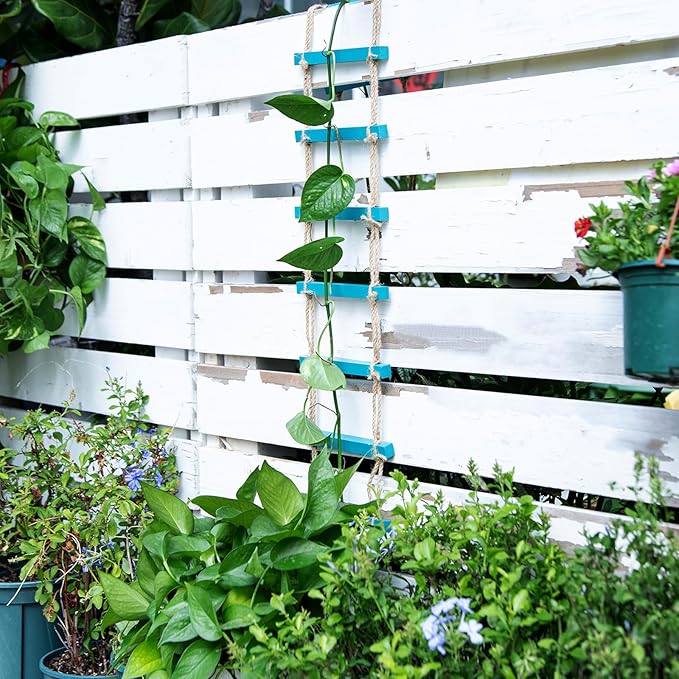 Blue Chain Trellis for Climbing Plants Indoor - Durable Natural Wood Design for Pothos and Ivy Support - Decorative Decorative Wall Feature for Home and Garden
