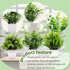 GREENTIME 3Pack Mini Fake Plants in Pots Artificial Plastic Eucalyptus Plant Wheat Grass Potted Faux Greenery Indoor for Office Desk Coffee Table Bathroom Bedroom Home Decorations