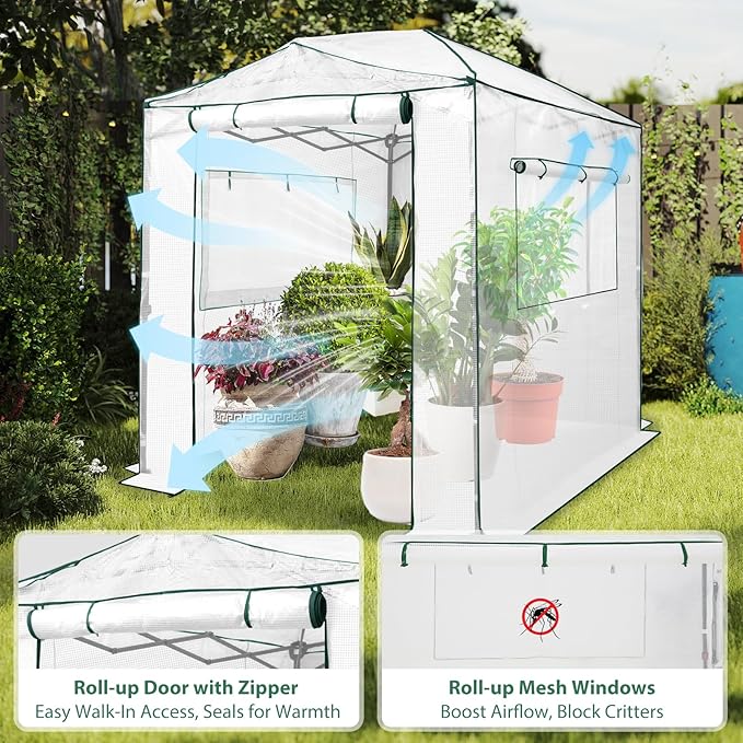 EAGLE PEAK 8x6 Portable Walk in Greenhouse, Pop Up Indoor Outdoor Greenhouse, Green House Kit with Zippered Roll-Up Doors and Windows, PE Cover, Clear/White