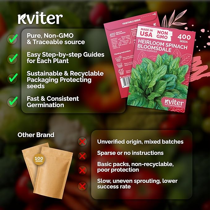 KVITER 400 Bloomsdale Spinach Seeds (Spinacia oleracea) — Non-GMO & Heirloom, Heat Tolerant, Cut and Come Again — Spinach Organic Vegetable Seeds for Planting in Outdoor & Indoor Garden, Containers