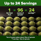 HOME GROWN Alfalfa Sprout Seeds 8 oz Bulk Heirloom Non-GMO, USA Sourced, High Germination, Fast Growing Microgreens, Nutrient Dense Sprouting Seeds for Sandwiches & Salads, Indoor Garden