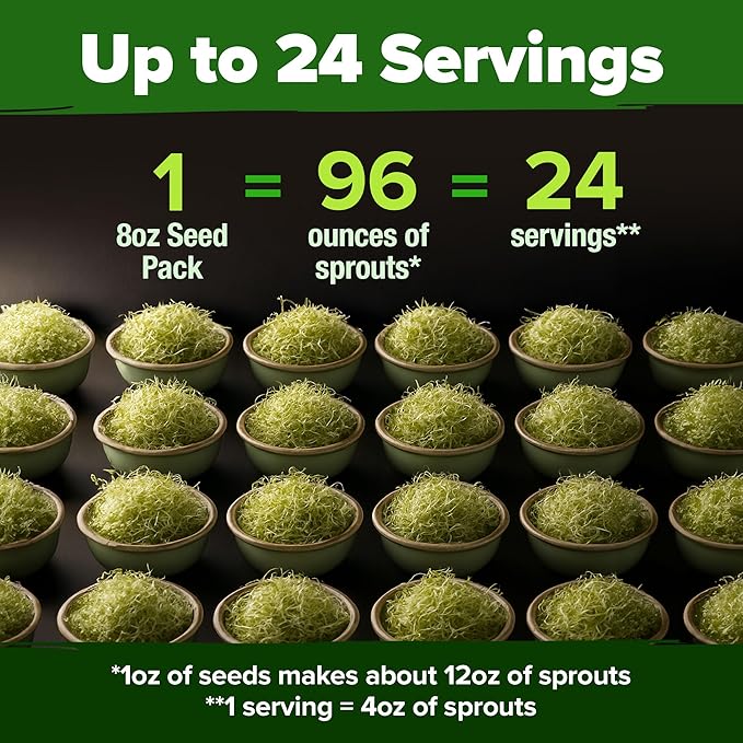 HOME GROWN Alfalfa Sprout Seeds 8 oz Bulk Heirloom Non-GMO, USA Sourced, High Germination, Fast Growing Microgreens, Nutrient Dense Sprouting Seeds for Sandwiches & Salads, Indoor Garden
