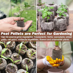 ZeeDix 50Pcs 30mm Peat Pellets for Seedlings, Seed Starter Pods Seed Starting Plugs Soil, Compressed Nutrient Block Potting Soil Discs Pellet for Planting Herbs Flowers Vegetables