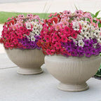 Colorful 20 Bundles Artificial Flowers for Outdoors,MixColors Fake Silk Flowers with Plastic Plants for Outside,Faux mums Realistic Flowers for Window Box Yard Fuchsia Balcoy Dector (Mixed Color)