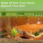 JIHAQUA Reptile Terrarium Decor 2-Piece Realistic Succulent Set,Lifelike Plastic Plants for Geckos, Bearded Dragons,Snakes,Turtles,Lizards,Insects Reptile Habitats