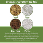 Soil Sunrise Avocado Tree Potting Soil Mix (12 Quarts) for Germinating, Growing and Repotting Avocado Plants