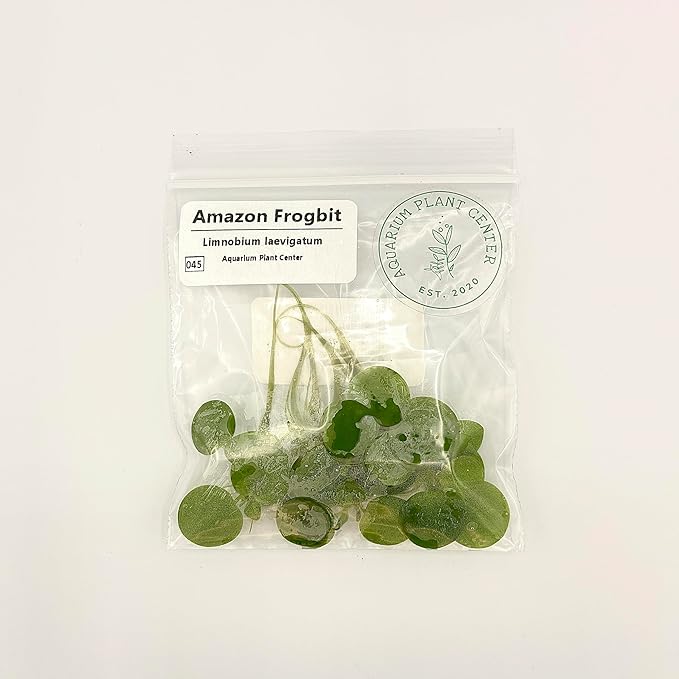 Amazon Frogbit, Limnobium laevigatum, Live Aquarium/Aquatic/Freshwater/Floating/Pond Plant/Planted Tank/Aquascaping/Paludarium by Aquarium Plant Center (6 Plants (18+ Leaves))