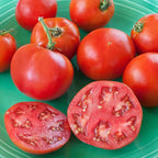 Bonnie Plants Bonnie Original Tomato Live Vegetable Plants - 4 Pack, Disease Resistant, 6 - 8 Oz. Fruit Size, Great for Slicing