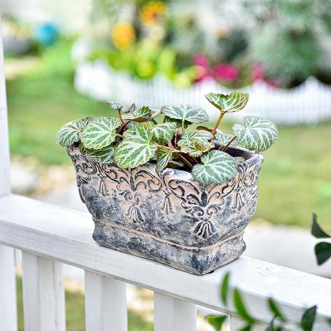Sungmor 9.2 Inch Cement Plant Pot for Plants, Succulent Planter with Embossed Design, Vintage Concrete Flowerpots with Drainage Hole, Decorative Orchid Houseplant Pot Indoor Outdoor Plant Container