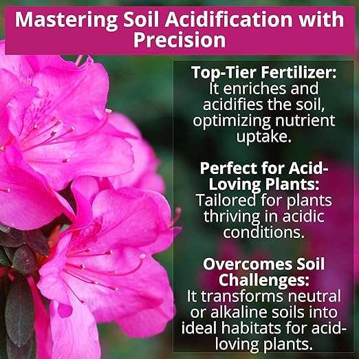 GARDENWISE 8-4-8 Acidic Fertilizer for Azaleas, Camellias (Camelia), Hydrangeas, Blueberries, Gardenias, Magnolia Trees, Evergreens, and Rhododendrons - Ideal Iron-Rich Plant Food (1 Quart)