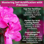 GARDENWISE 8-4-8 Acidic Fertilizer for Azaleas, Camellias (Camelia), Hydrangeas, Blueberries, Gardenias, Magnolia Trees, Evergreens, and Rhododendrons - Ideal Iron-Rich Plant Food (4 QUARTS)