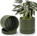 Phoenix Vine 8 Inch Planter Pot with Drainage Hole & Saucer, Deep Water Catch Tray, Straight Cylindrical Round Pot for Plants, Olive, Pack of 2, 23-F-T-2