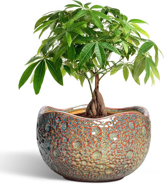 10 Inch Plant Pot - Ceramic Planter with Drainage Hole and Plug, Unique Round Planters for Indoor Outdoor Plants, Decorative Planters, Home Decor, Gardening Gifts for Women, Speckled-Brown