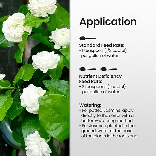 32oz Jasmine Fertilizer for Jasmine Plant Live - Makes 192 Gallons of Indoor Plant Food for Houseplants, Nutrient-Rich Houseplant Fertilizer - Ideal Outdoor & Houseplant Food for Vibrant Growth