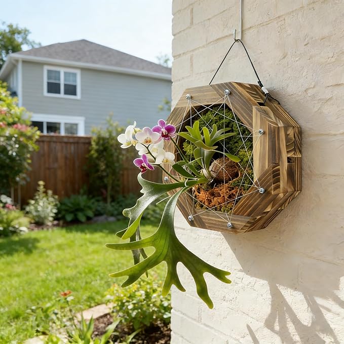 8.18 Inches Staghorn Fern Mounting Kit Orchid Mounting Wood Hanging Plant Frame Wall Planter Plant Holder Basket for Orchids Staghorn Fern Tropical Plants (208x208x60mm)