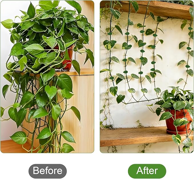 Plant Vine Wall Clips 70PCS Plant Clips for Climbing Plants with 84PCS Strong Adhesion Sticky Glues Plants Leaf Holder Garden Clip for Climbing Plants Gardening Tools Gifts for Gardeners