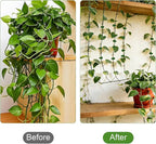 Plant Vine Wall Clips 70PCS Plant Clips for Climbing Plants with 84PCS Strong Adhesion Sticky Glues Plants Leaf Holder Garden Clip for Climbing Plants Gardening Tools Gifts for Gardeners