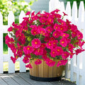 Artificial Faux Flowers for Outdoors, 12 Bundles Artificial Plants Outdoor UV Resistant, Fake Morning Glory Silk Flowers for Outside Planter Porch Patio Yard-Rose Red