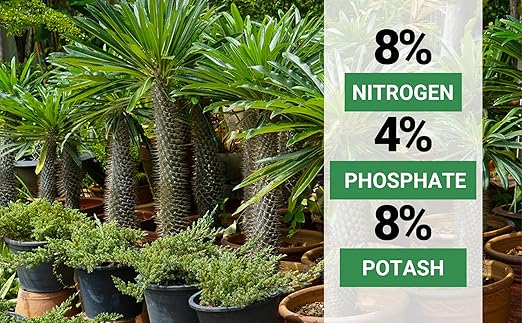 Gardenwise 8-4-8 Professional Palm Tree Fertilizer Plant Food; for Indoor Potted Plants and Outdoor Landscape Palm Trees; Quick-Release Nitrogen Fertilizer and Continuous Feeding (2 QUARTS)