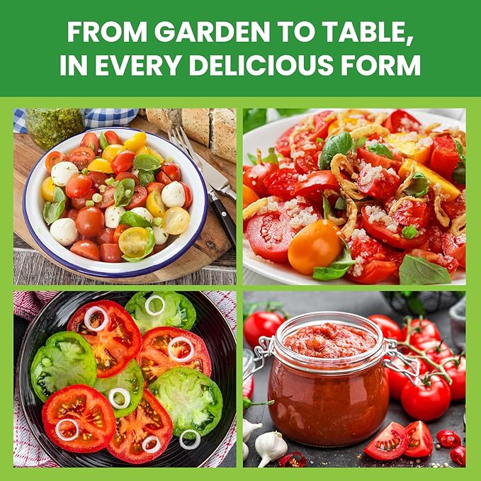 10 Pack Heirloom Tomato Seeds Variety Pack -5000+ Non-GMO Garden Seeds for Planting Outdoors & Indoor Home Gardening Gift, Roma, Chreey Tomatoes & More