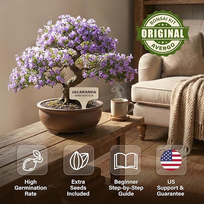 Avergo Bonsai Starter Kit – Growing Jacaranda Bonzai Tree | Complete Indoor Tree Kit for Growing Plants with Tools & Planter – Gardening Gifts for Mother, Women & Men