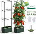 2Pack Raised Garden Bed Tomato Planter with Trellis, Self Watering Tomato Planter with Water Level Indicator, Larger Rectangular Tomato Cages for Indoor & Outdoor Climbing Vegetable and Plants (2)