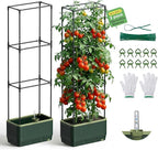 2Pack Raised Garden Bed Tomato Planter with Trellis, Self Watering Tomato Planter with Water Level Indicator, Larger Rectangular Tomato Cages for Indoor & Outdoor Climbing Vegetable and Plants (2)