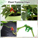 Ouligay 40pcs Plant Training Clips, Plastic Plant Clip, Lst Clips for Low Stress Training Plant Stem Support, 90 Degree Angle Plant Clips(Circle Style,Red and Green)