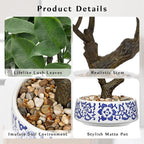 Artificial Bonsai Tree, Small Ficus Bonsai Trees 13" Indoor Bonsais Tree Fake Potted Plant Decorative Fake Desk Plant Decor with Ceramic Pot for Home Office Living Room Bedroom Bathroom Table Shelf