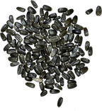 Seed Needs Sunflower Seeds for Planting Dwarf Teddy/Dwarf Sungold Sunflowers - Heirloom & Open Pollinated Flower Seed to Plant a Butterfly Garden (2 Packs)