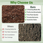 9QT Potting Soil Mix for Indoor Plants - Contains Perlite, Peat Moss, Coco Coir & Rice Charcoal, Natural & Organic Material with Well-Draining, Light & Aerated Texture for Healthy Roots & Fast Growth