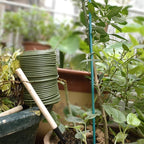 TELENT OUTDOORS 101 Feet Soft Plant Ties Dark Green Plant Twist Ties, Plant Ties for Support. Gardening Supplies for Plants Office Home Organization 3mm Diameter