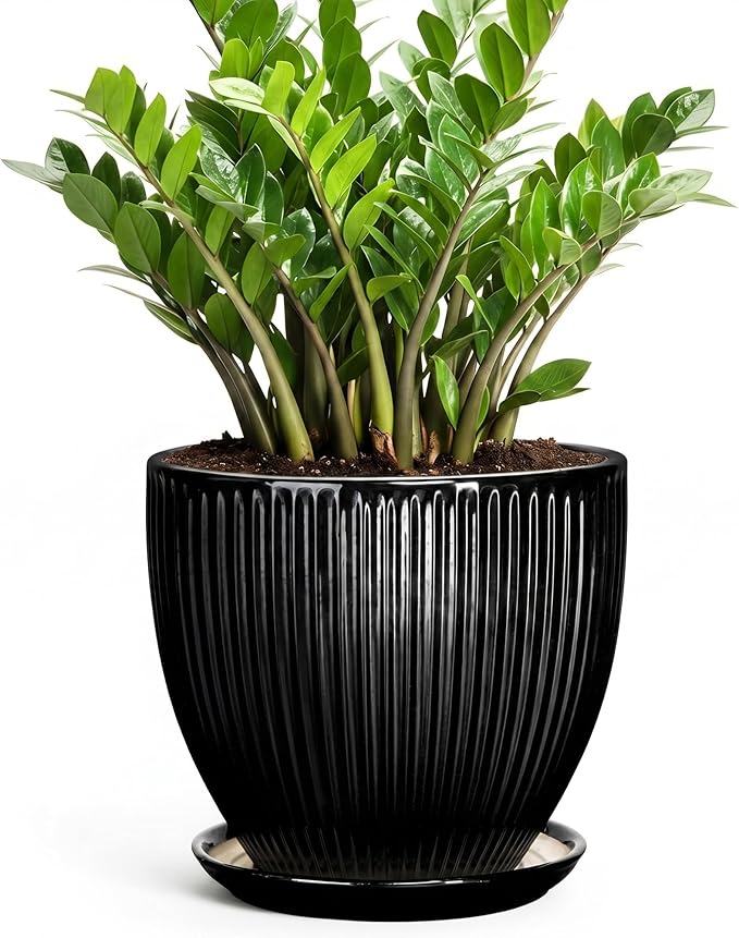 10 Inch Planter, Ceramic Plant Pots with Drainage Hole and Saucer, Large Decorative Planters for Indoor Plants, Modern Plant Pot, Round Flower Pot, House Bedroom Decor, Black