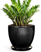 10 Inch Planter, Ceramic Plant Pots with Drainage Hole and Saucer, Large Decorative Planters for Indoor Plants, Modern Plant Pot, Round Flower Pot, House Bedroom Decor, Black