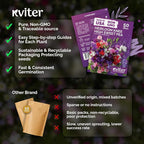 KVITER 50 Knee High Sweet Pea Seeds (Lathyrus Odoratus) - Sweet Peas, Fragrant Compact Blooms, Non GMO, Heirloom Seed Packets - Annual Flower Seeds for Outdoor Garden, Containers, Cut Flowers