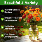 LUOJIBIE Marigold Seeds, 12,000+ Marigold Seeds for Planting Outdoor & Indoor, Flower Seeds Bulk for Gardening and Home, Non-GMO Heirloom, Easy to Grow