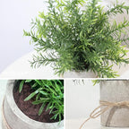 4 Pack Small Fake Plants in Pot for Home Decor, Artificial Plants Indoor, Small Faux Succulents Plants Indoor for Bathroom Bedroom Kitchen Office Farmhouse Room Shelf Decor