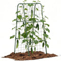 Cucumber Trellis for Raised Bed, Garden Trellis for Climbing Plants Outdoor, Metal Arch Trellis U-Shape Vegetables Support for Tomotoes Grape Vines Beans Peas (Green, 15.7" L x 24" W x 48" H)