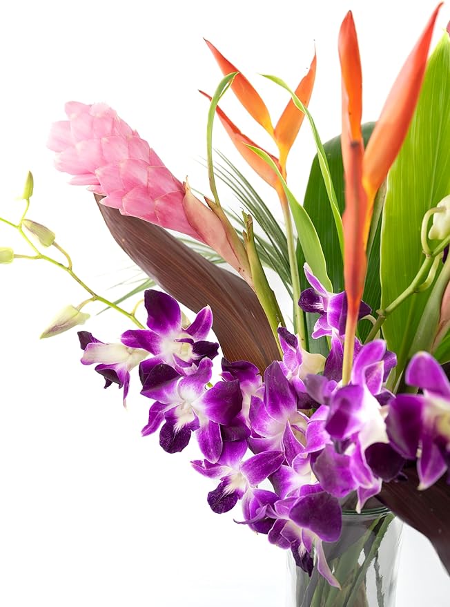 Fresh Orchids and Tropical Flower Bouquet, Purple Orchids, Red Ginger, Heliconia, Mixed Foliage, Hawaiian - PRIME QUALITY - Perfect for Birthdays, Valentine's Day, Mother's Day, Anniversaries, etc.